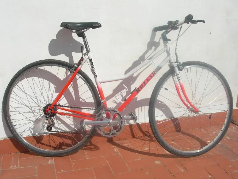 DSCN0085.webp