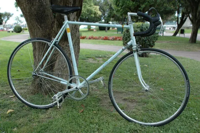 light blue raleigh.webp