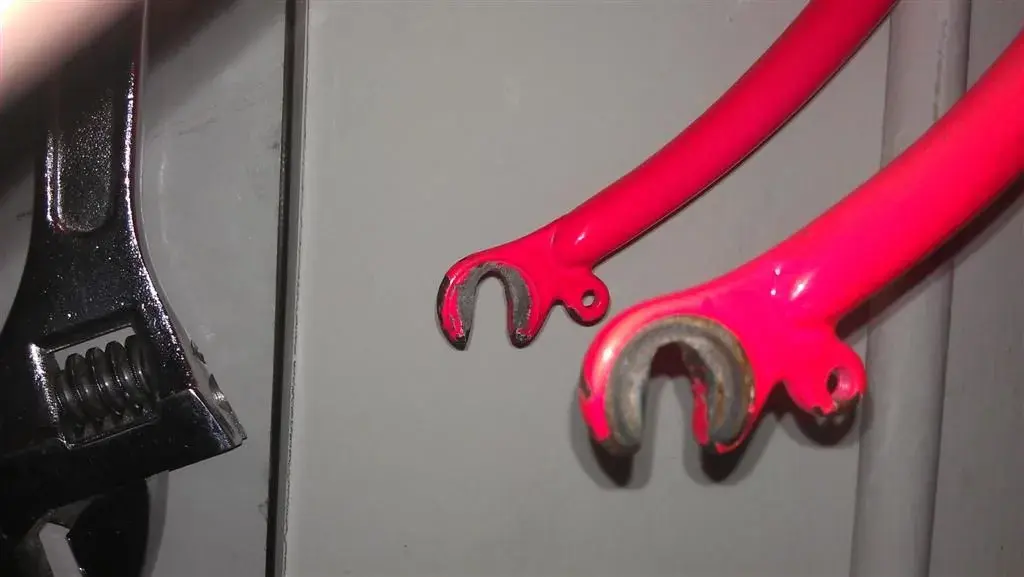 IMAG1098 (Large).webp