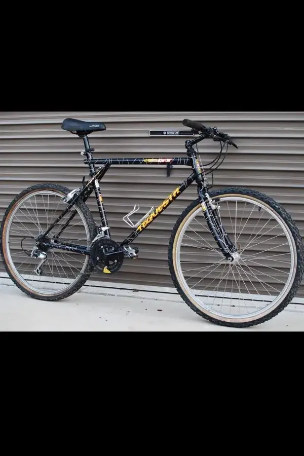 Black Beauty.webp