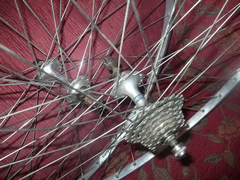 Miche-Campag Hubs.webp