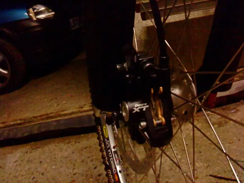 DSC00274 (Large).webp