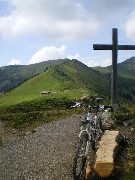 col de cou 011resize.webp