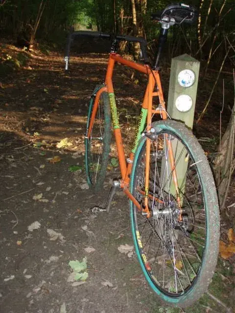 IF In the woods and#106FAD6.webp