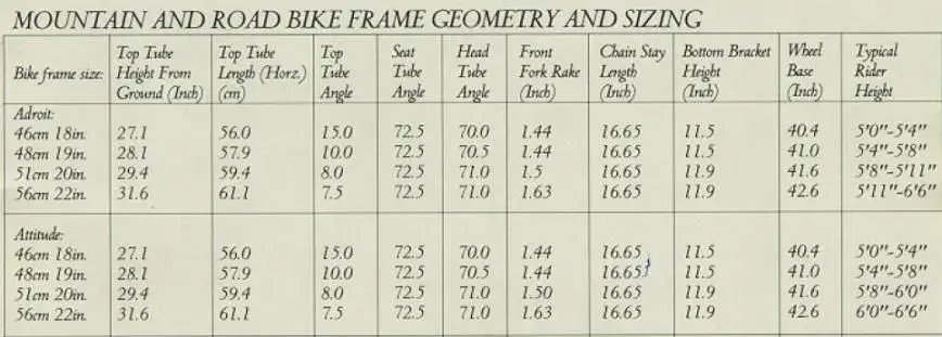 1993sizing.webp