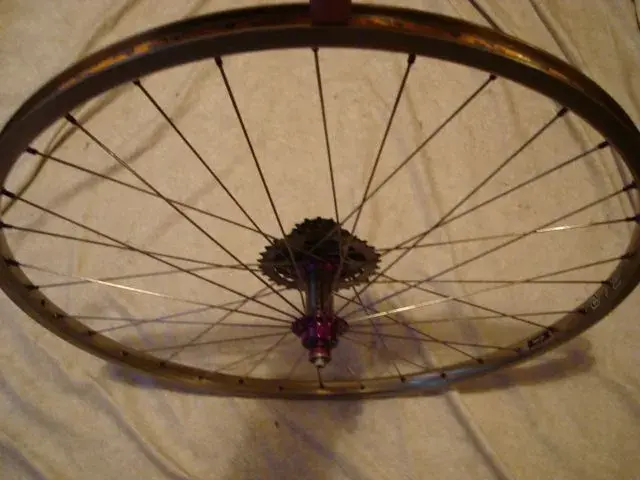 Rear wheel.webp