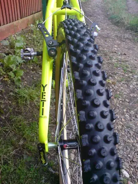 Ultimate Rear (Medium).webp