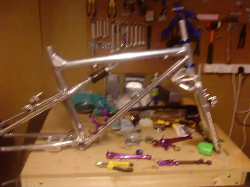 DSC00297 (Large).webp
