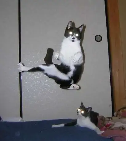 kung-fu.webp