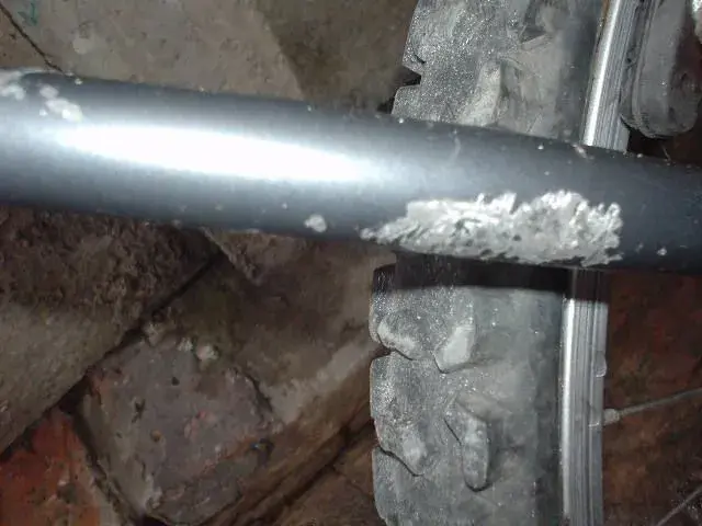 DSC00611.webp