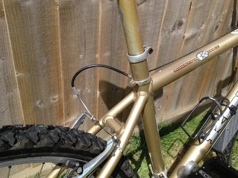 Rear brake.webp