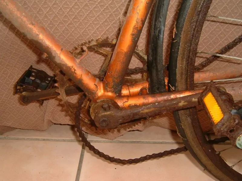 DSCF0007.webp