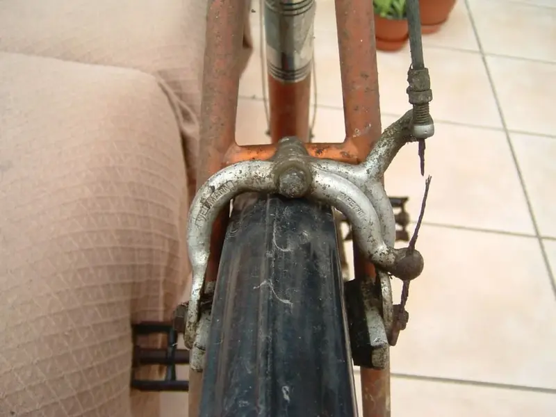 DSCF0011.webp