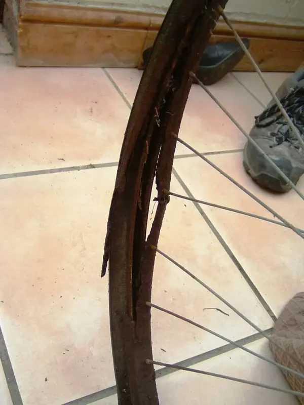 DSCF0010.webp