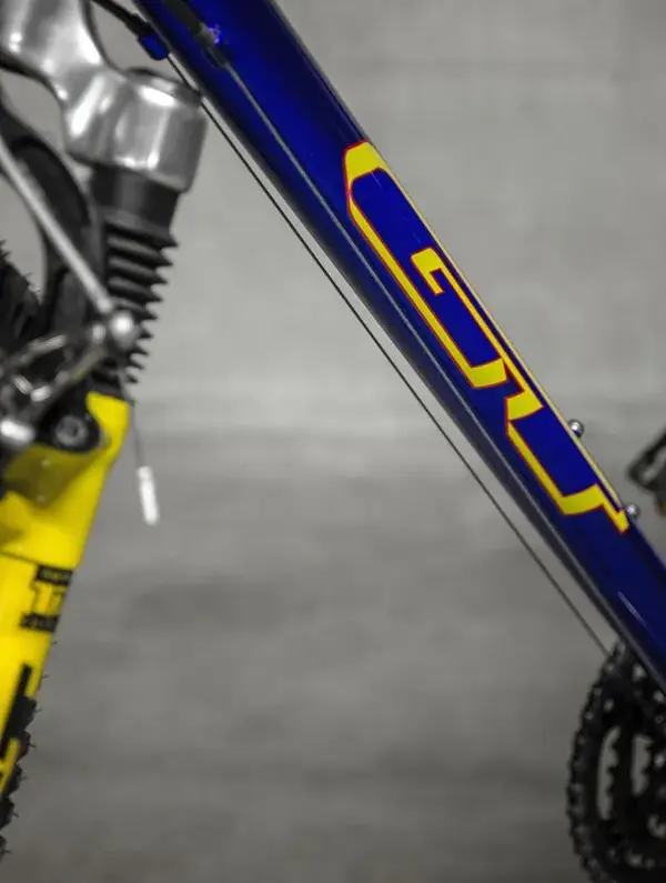 Gt rebound mountain bike price online