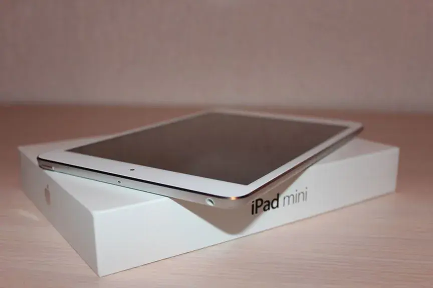 ipadmini2.webp