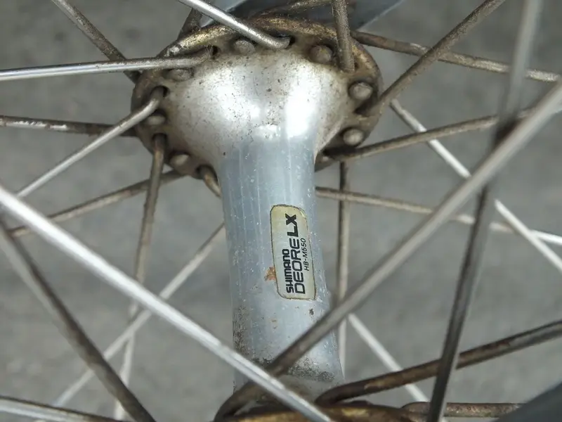 DSCF6279.webp
