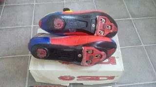 IMG_20140530_174905.webp