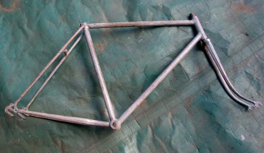 frame.webp