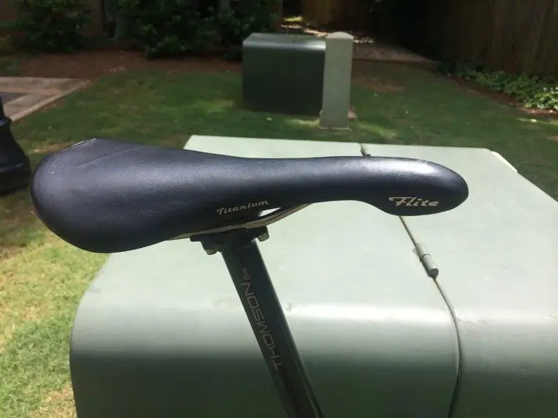chamy saddle.webp