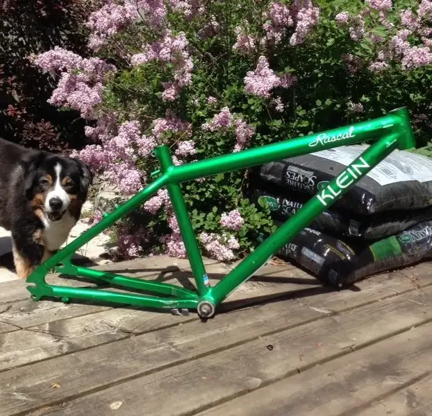 Klein Rascal 3.webp