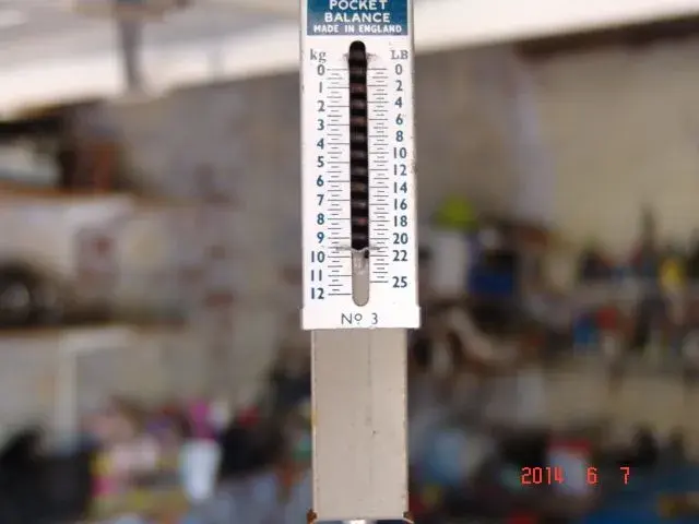 pace weight 004.webp