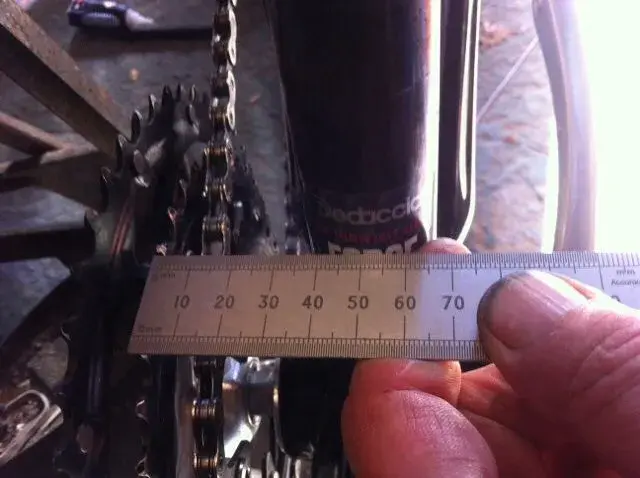 image.webp