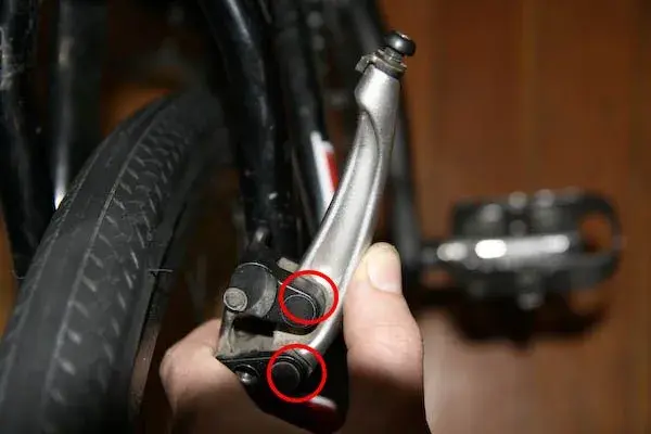 img0531yi6 copy.webp