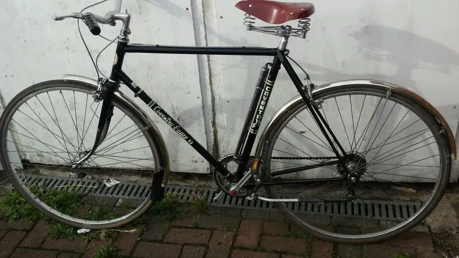 Eagle bicycle online