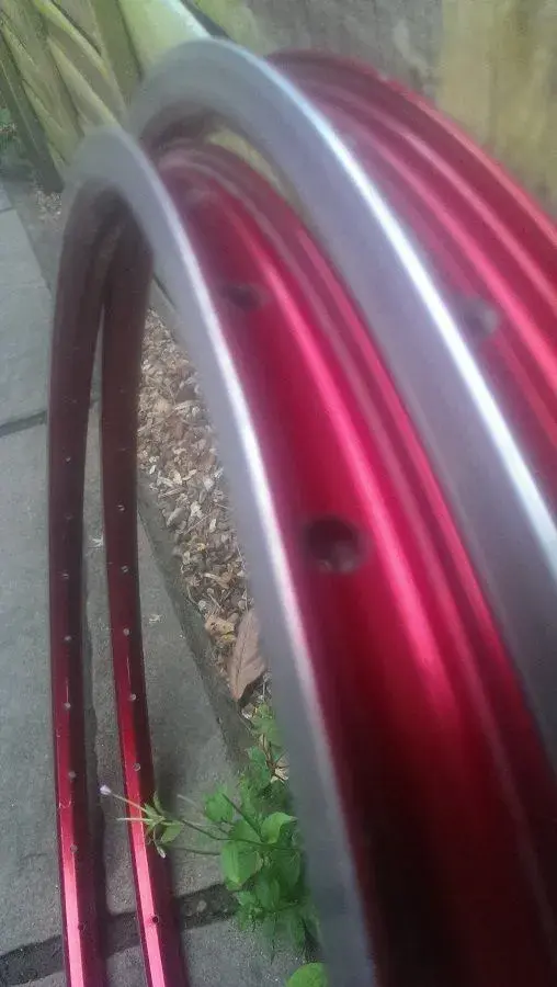 IMAG0893.webp