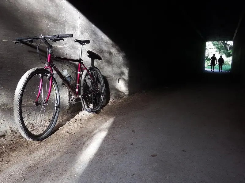 sf.Todays Ride 3-9-14 a web.webp