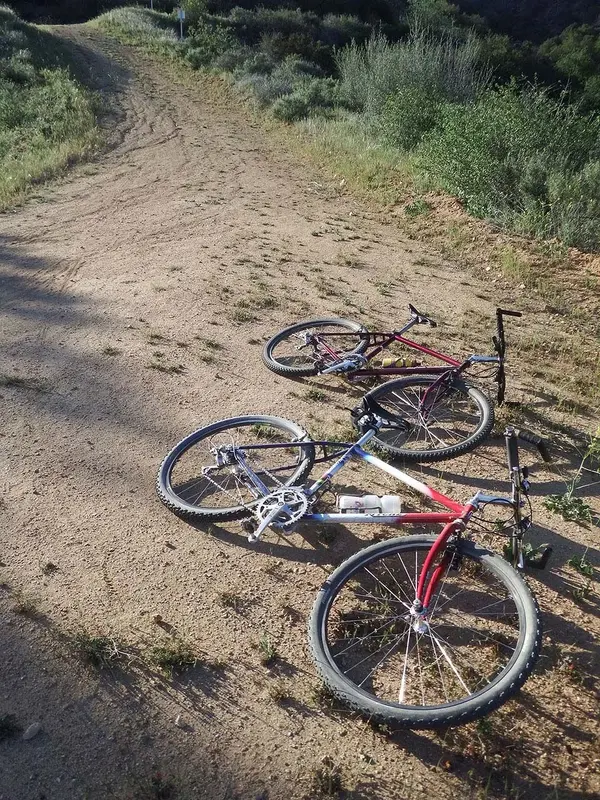 sf.Ritchey p-21 2 web.webp