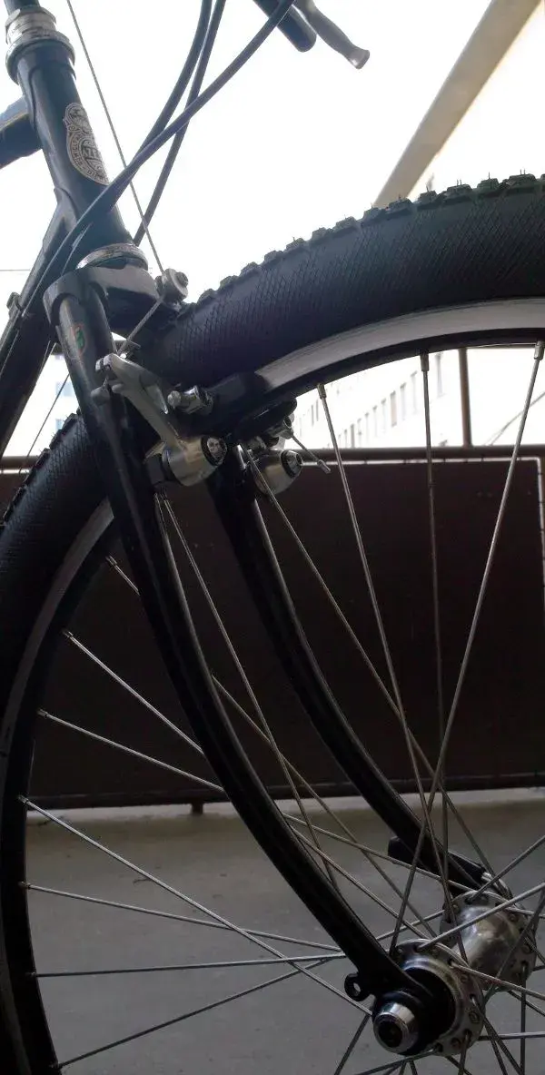 gazelle7.webp