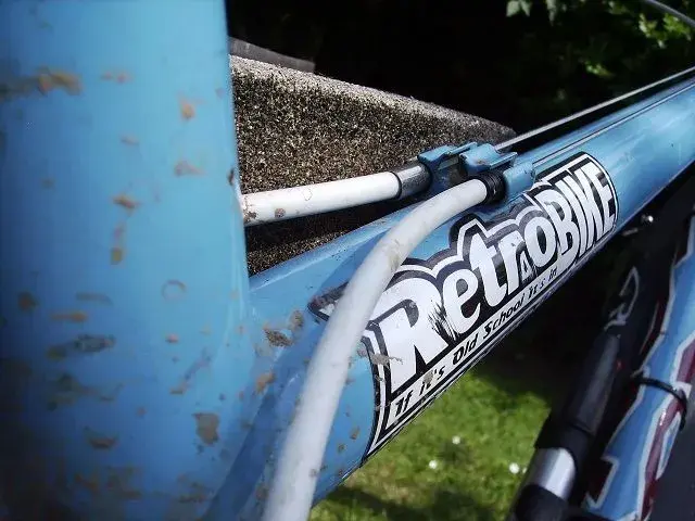 Summer solstice and ride 048.webp
