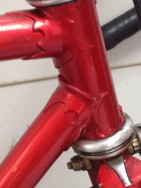 whatbike2.webp