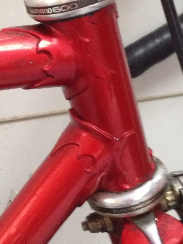 whatbike3.webp