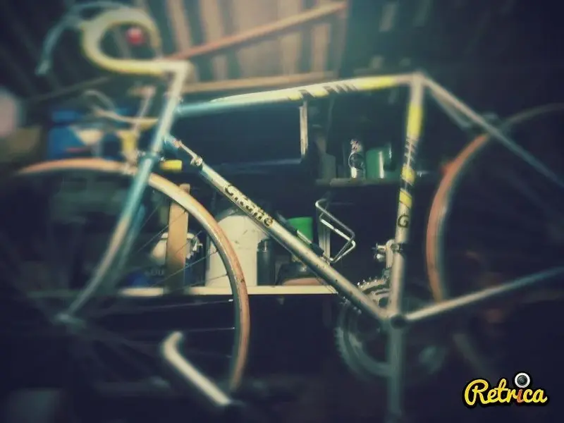 gitane small.webp