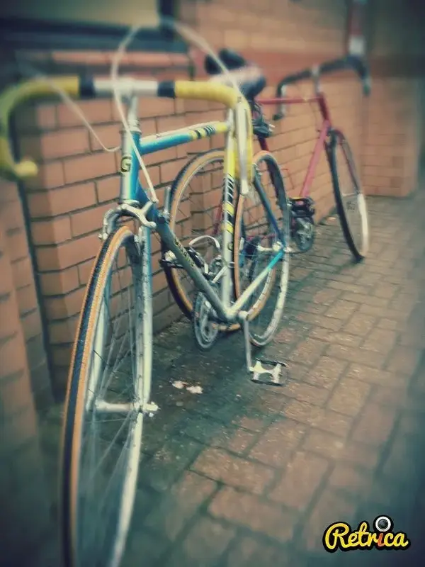 gitane small 2.webp