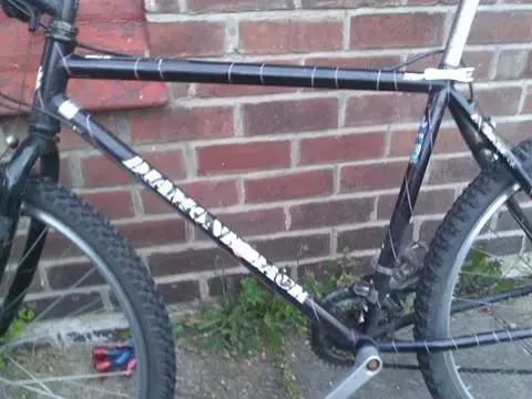 diamondback 2.webp
