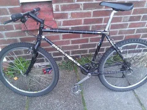 diamondback.webp