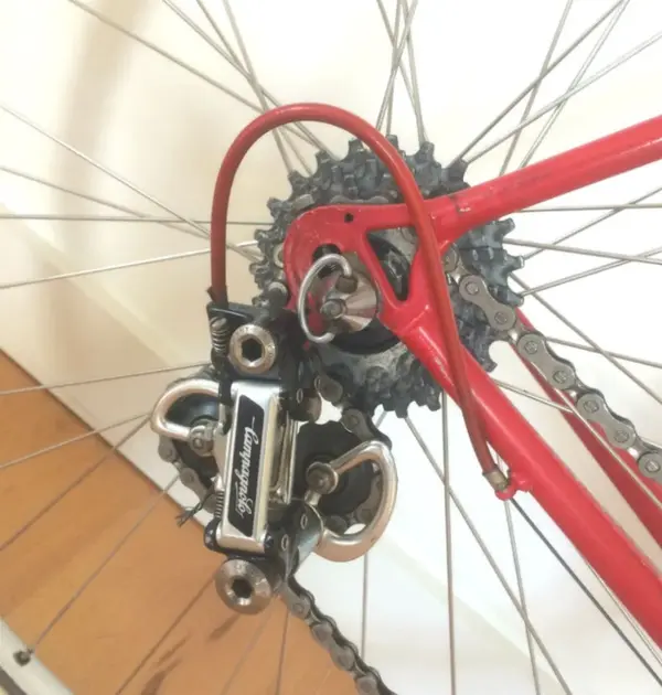 gios rear.webp