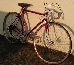 IMAG0755a.webp