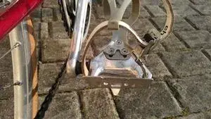 IMAG0764a.webp