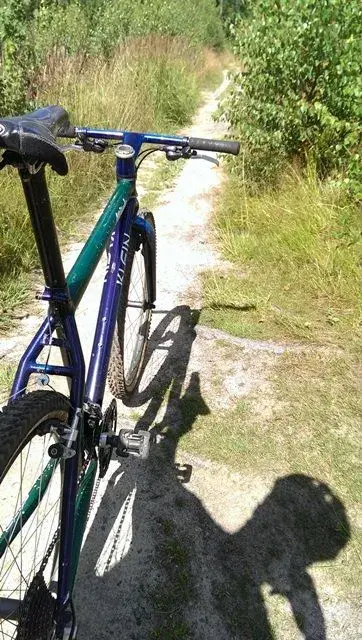 ride 2.webp