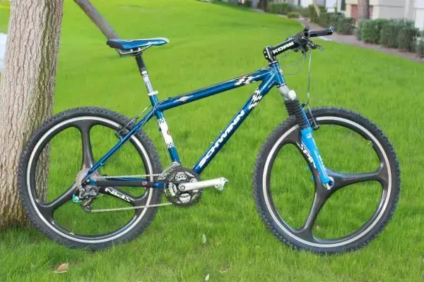 Schwinn homegrown mountain bike hotsell
