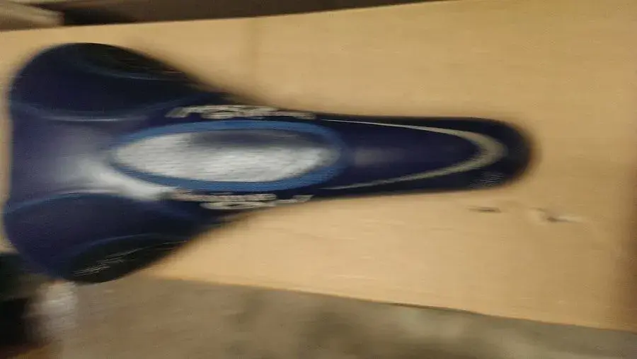 IMAG1081.webp