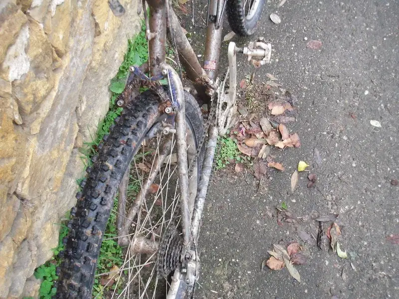 DSCF2545.webp