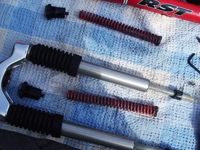 RST Mozo Comp 002.webp