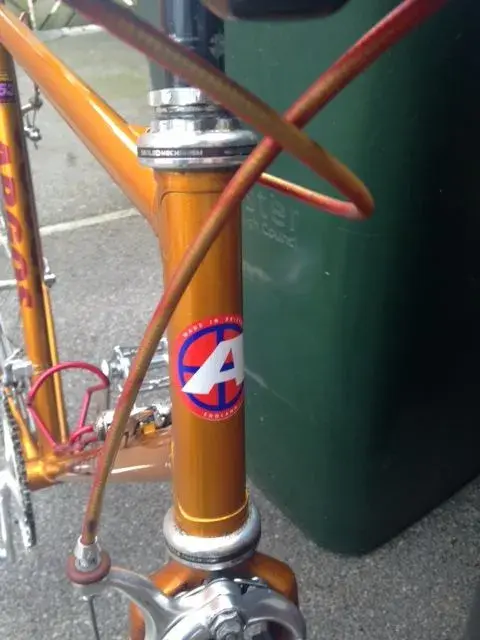 BIKE4.webp