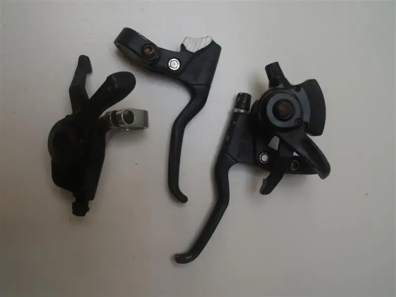 P7300237 (Medium) (2).webp